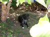 Filename=Brittany_4.JPG
Filesize=340KB
Dimensions=1280x960
Date added=Jun 30, 2010 Brittany_4.JPG