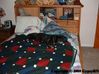 Zippy_01-31-07.jpg
